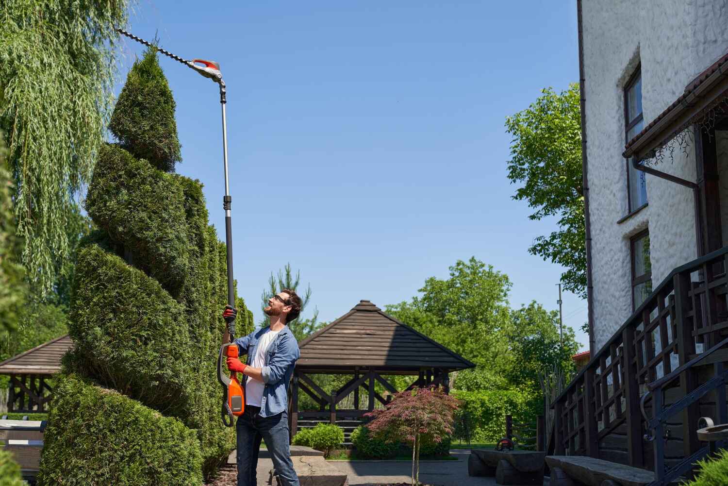 Best Tree Branch Trimming  in Mancelona, MI